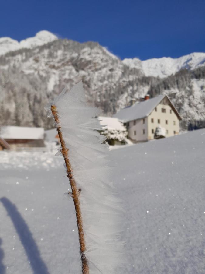 Haus 1683 - Wolfbauer Villa Johnsbach Eksteriør billede
