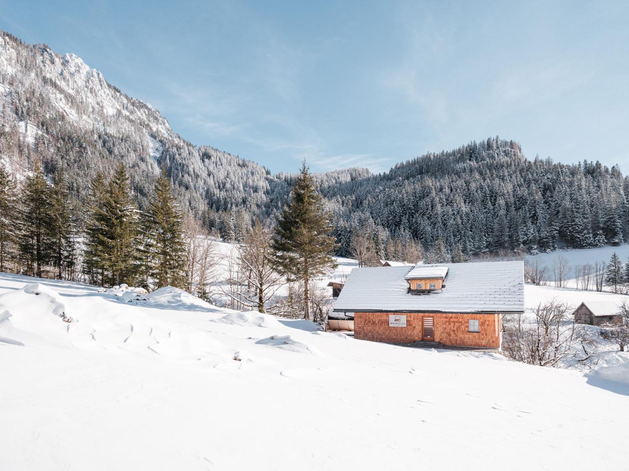 Haus 1683 - Wolfbauer Villa Johnsbach Eksteriør billede