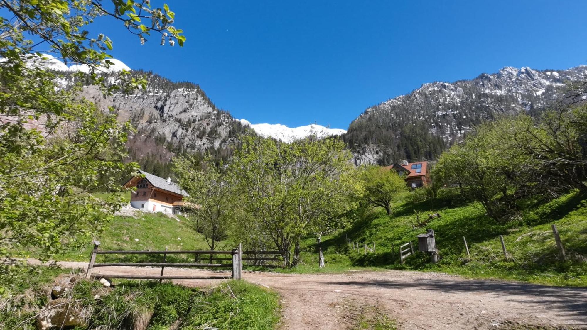 Haus 1683 - Wolfbauer Villa Johnsbach Eksteriør billede